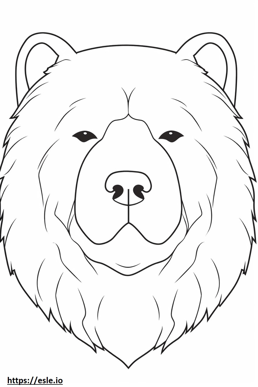 Chow Chow face coloring page