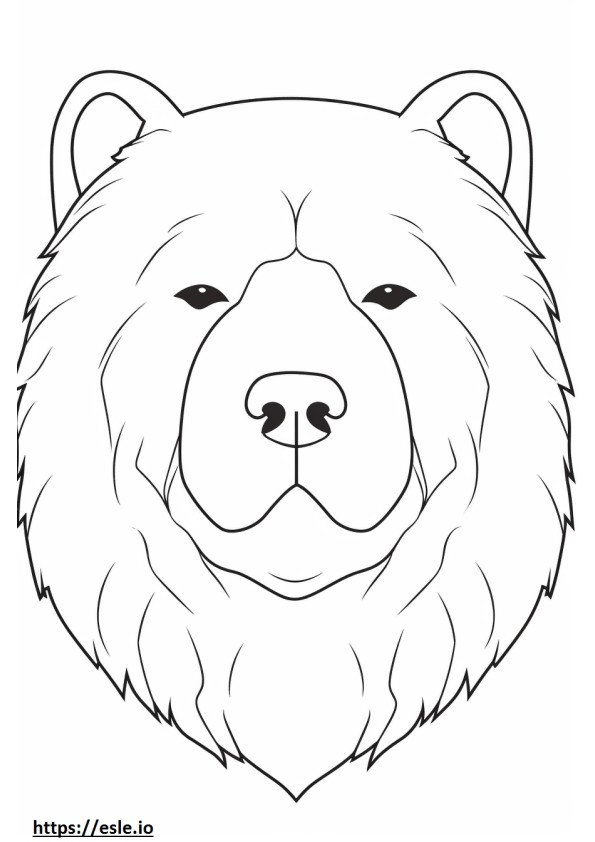 Chow Chow face coloring page