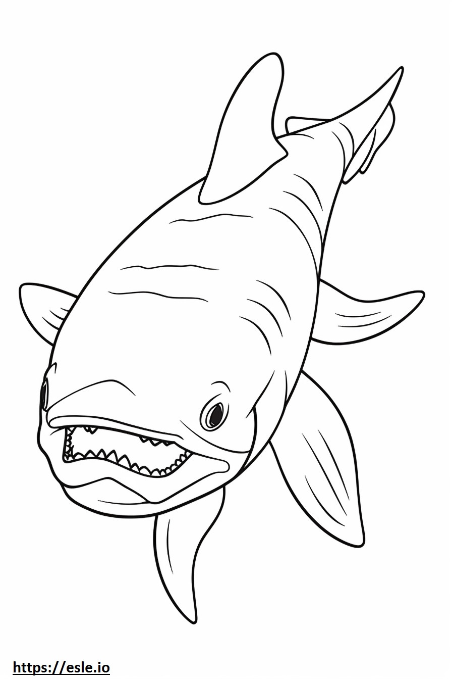 Viper Shark (cação) fofo para colorir