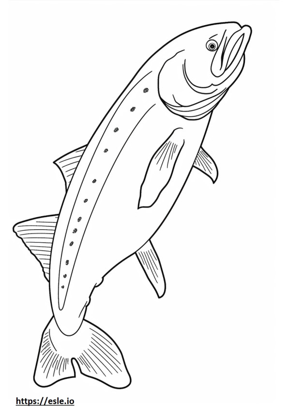 Salmón Atlántico cuerpo completo para colorear e imprimir