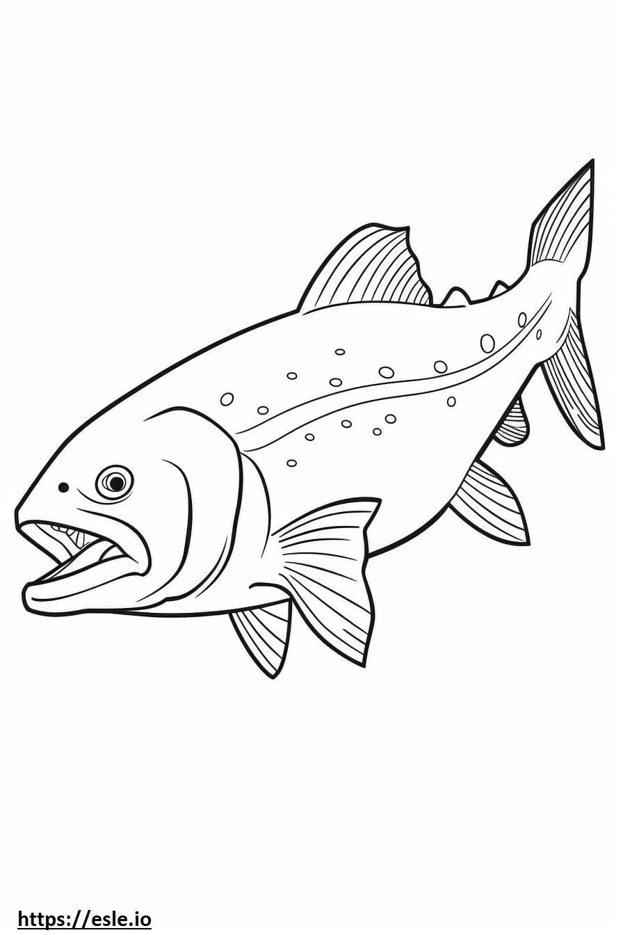 Atlantic Salmon full body coloring page