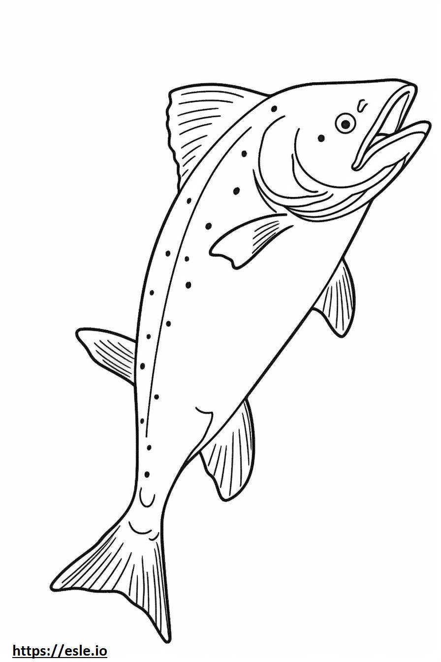 Salmon Atlantik seluruh tubuh gambar mewarnai