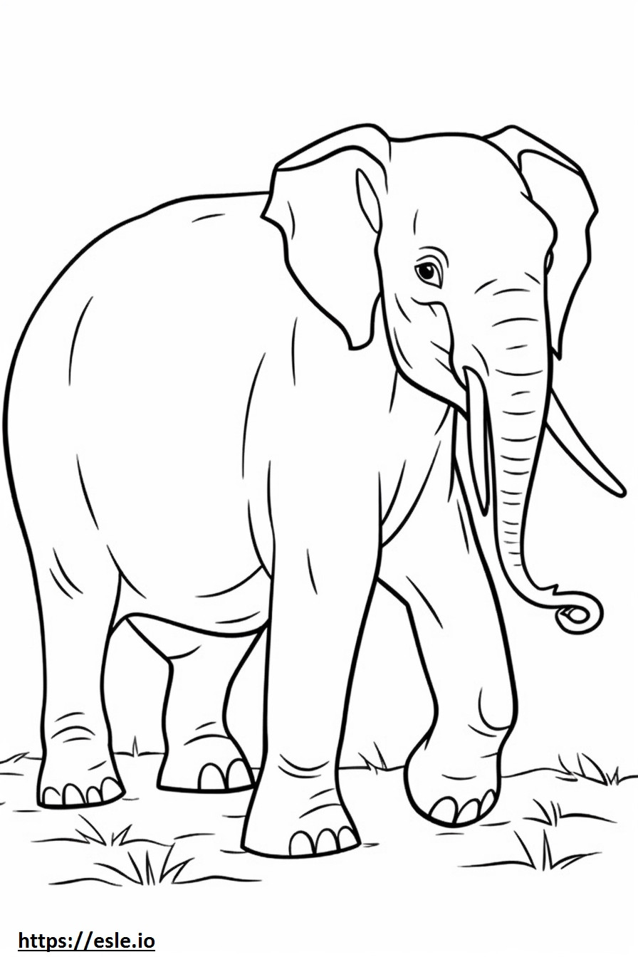 Sri Lankan Elephant Kawaii coloring page