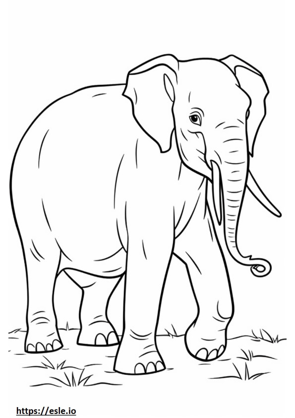 Elefante Kawaii do Sri Lanka para colorir