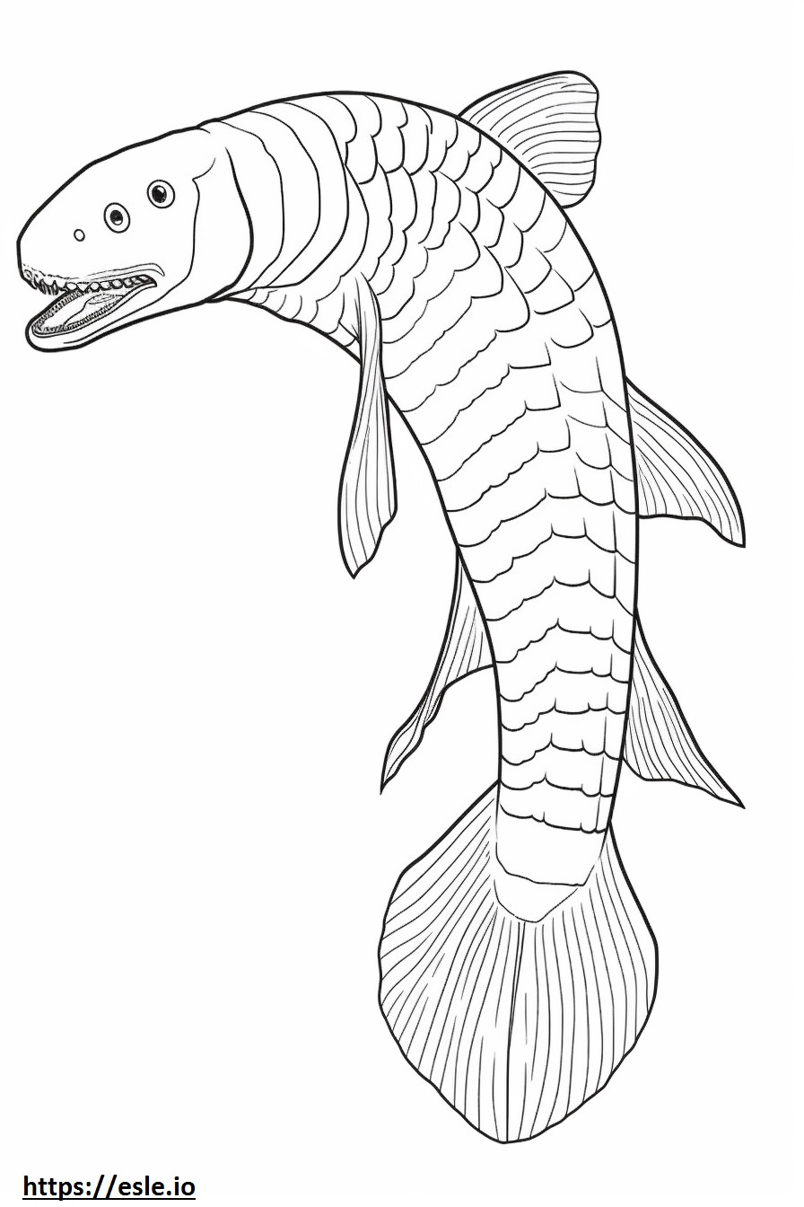 Arapaima full body coloring page