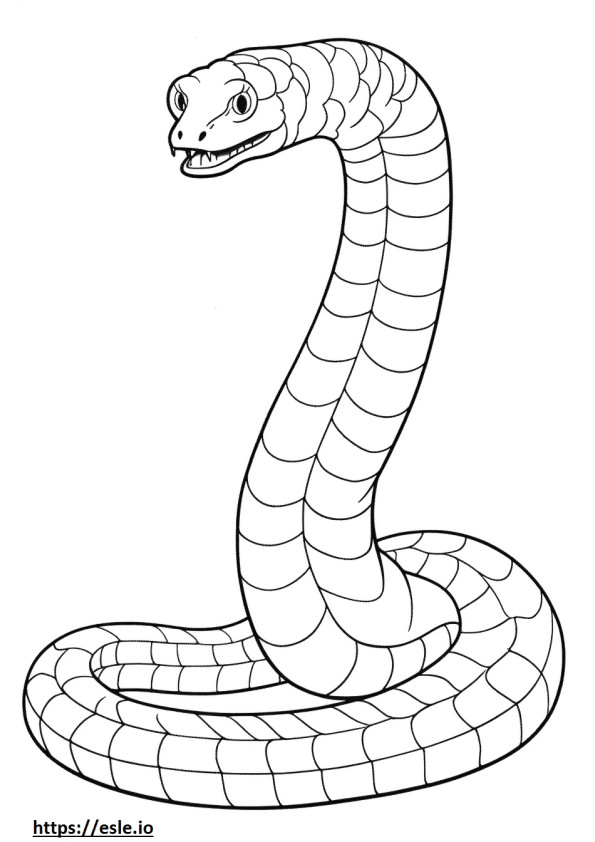 Serpente Hognose occidentale a corpo intero da colorare