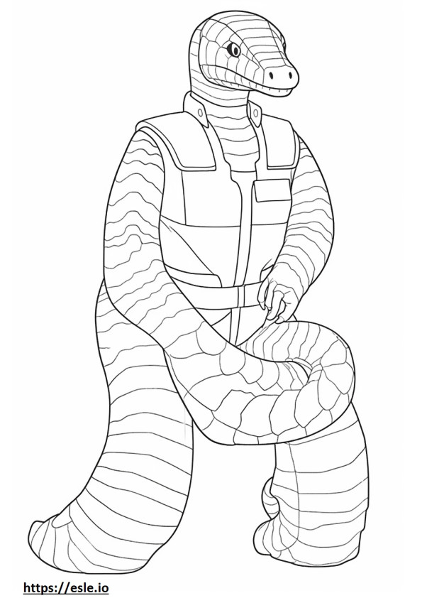 Western Hognose Snake cu corp întreg de colorat