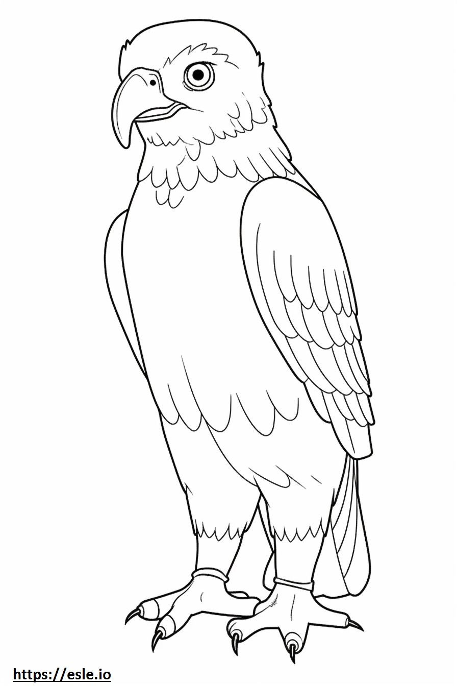 Falco pecchiaiolo Kawaii da colorare