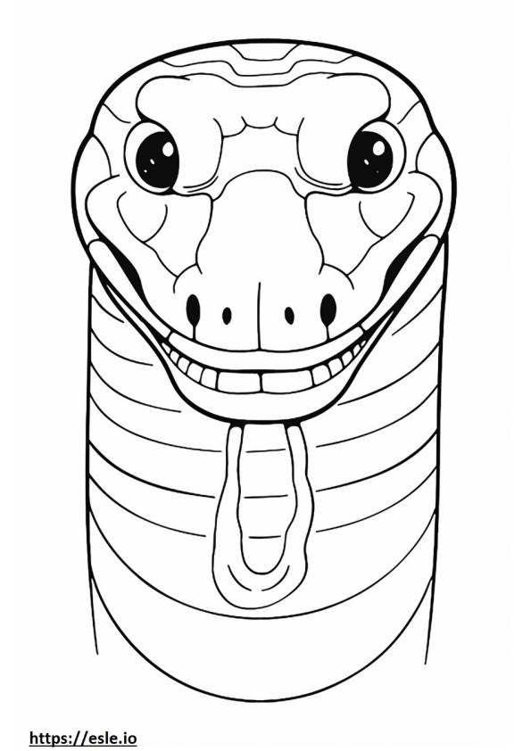 Northern Water Snake face coloring page