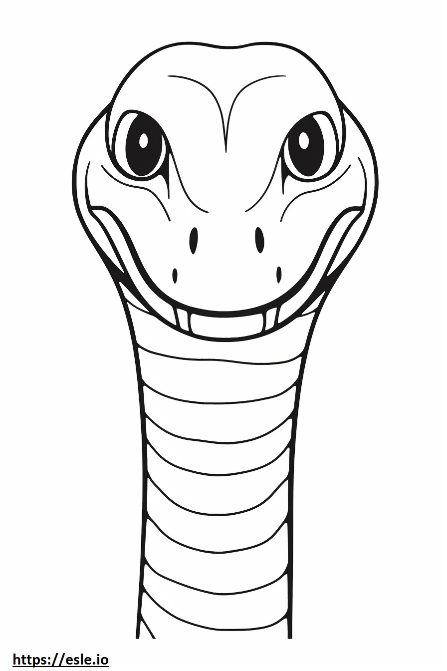 Pohjoisen vesikäärmeen kasvot värityskuva