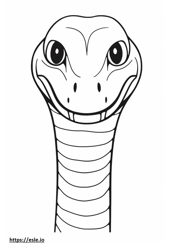 Gesicht der Nördlichen Wasserschlange ausmalbild