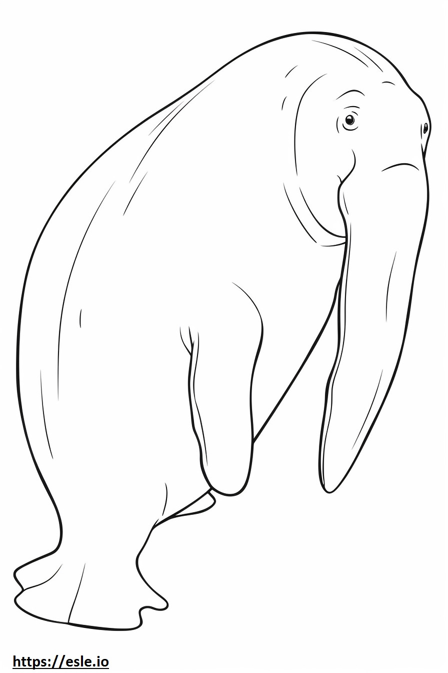 Dugong całe ciało kolorowanka