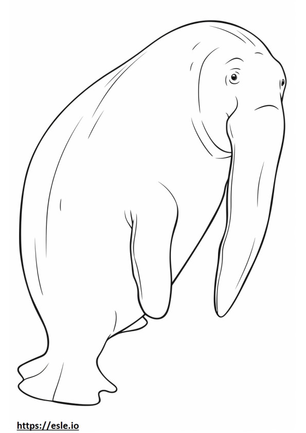 Dugong kokovartalo värityskuva