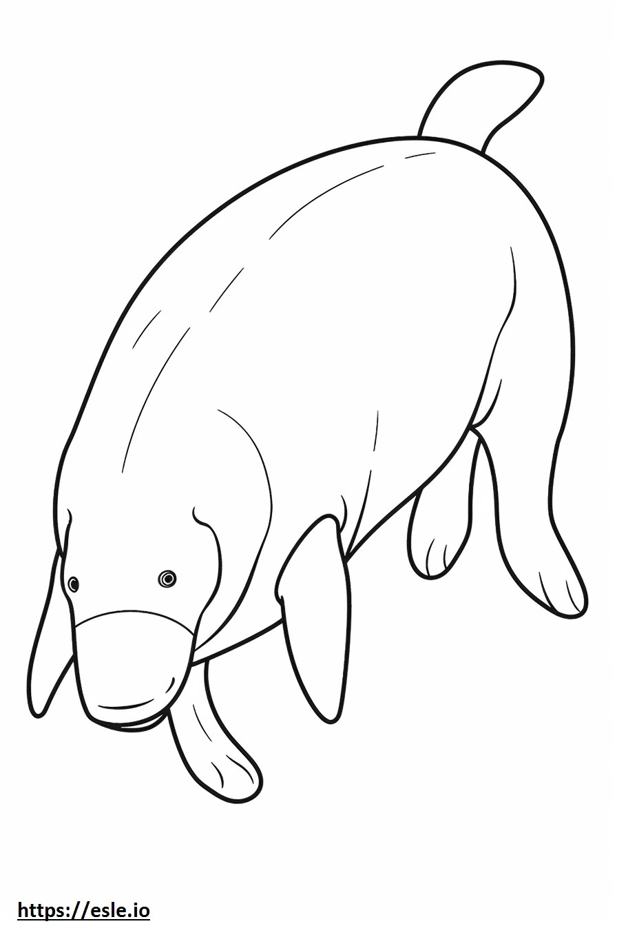 Dugong kokovartalo värityskuva