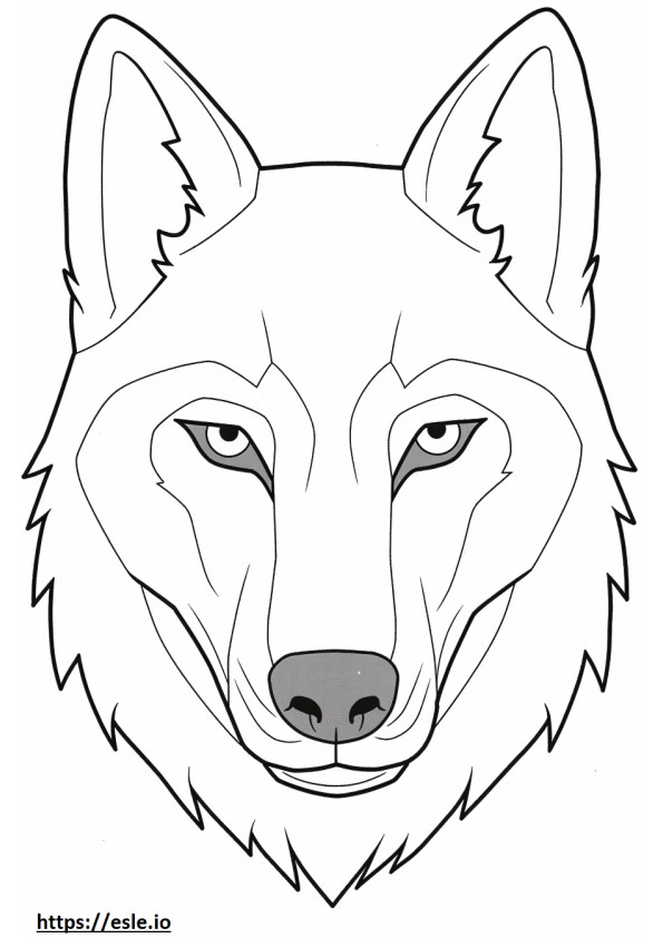 Cara de cão-lobo de Saarloos para colorir