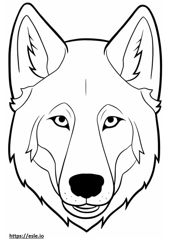 La faccia del cane lupo di Saarloos da colorare