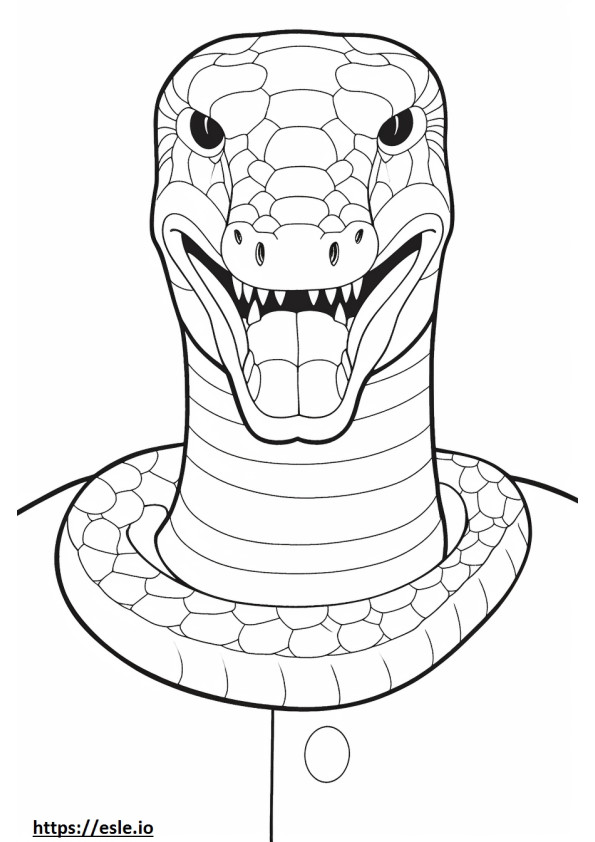 Texas Coral Snake arc szinező