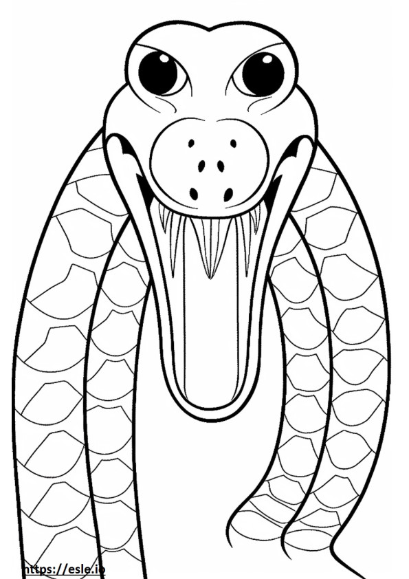 Texas Coral Snaken kasvot värityskuva
