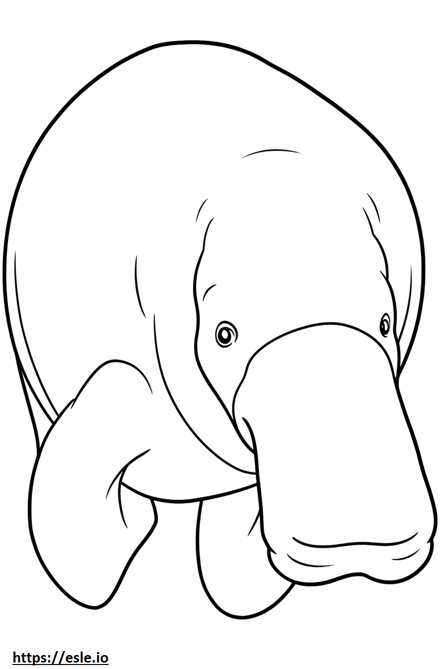 Cara de dugongo para colorir