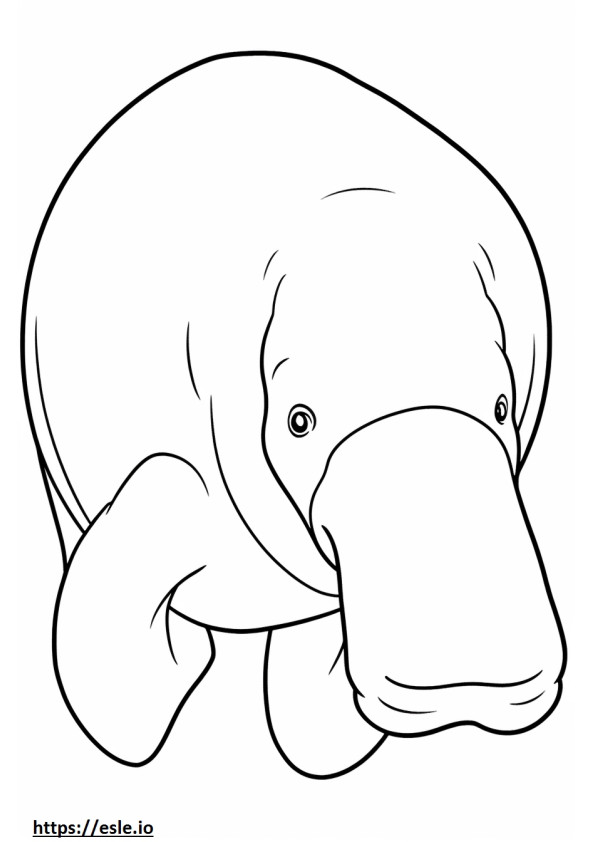 Cara de dugongo para colorir