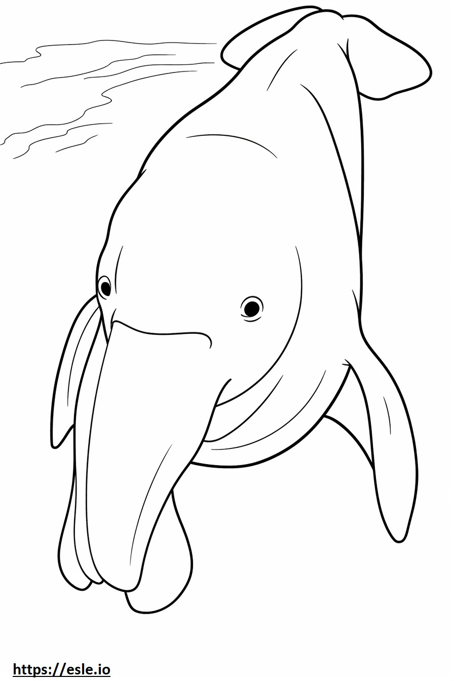 Coloriage Visage de dugong à imprimer