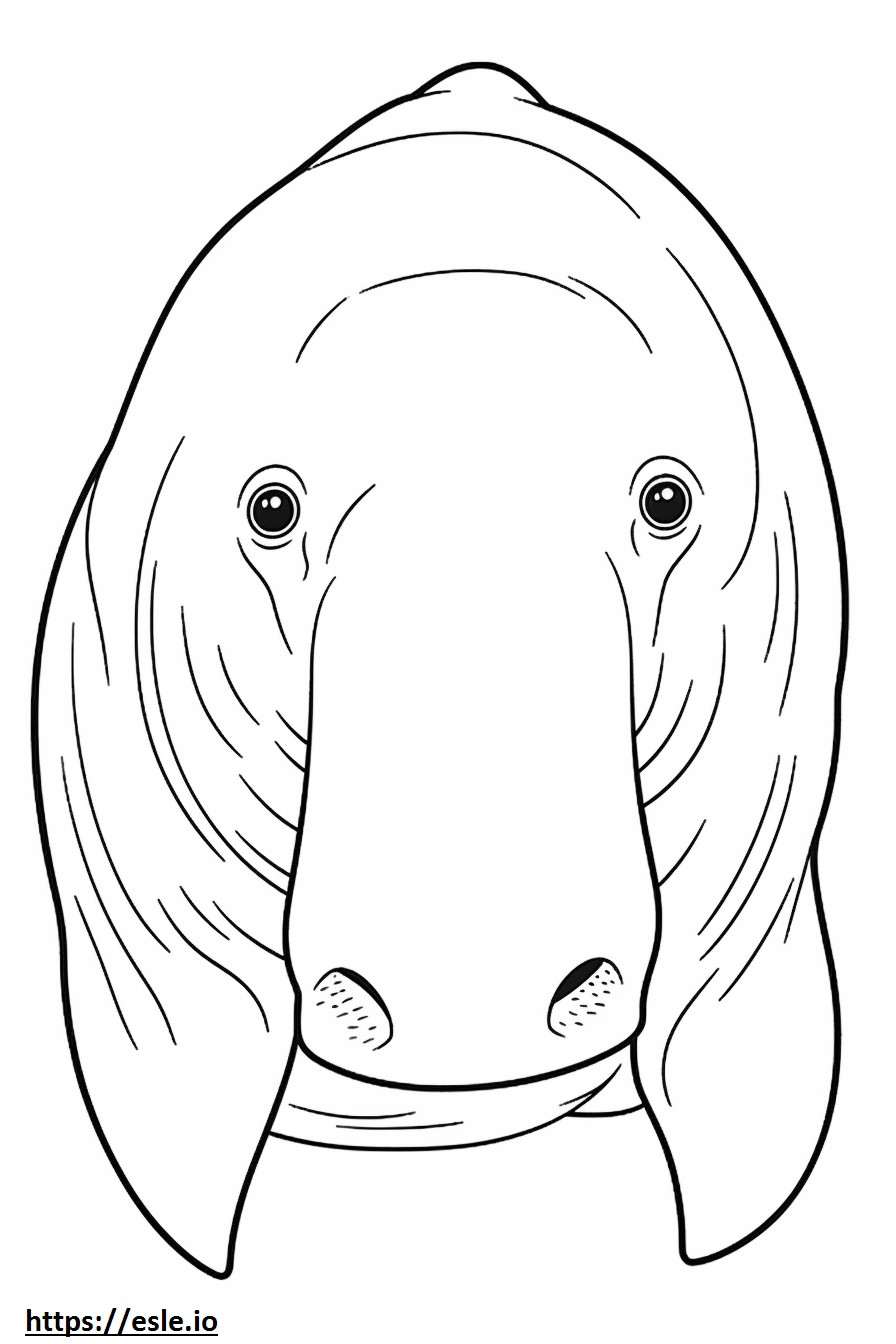 Fața de dugong de colorat