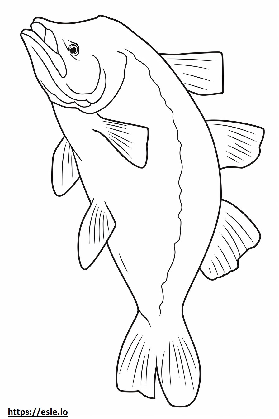 Arctic Char full body coloring page
