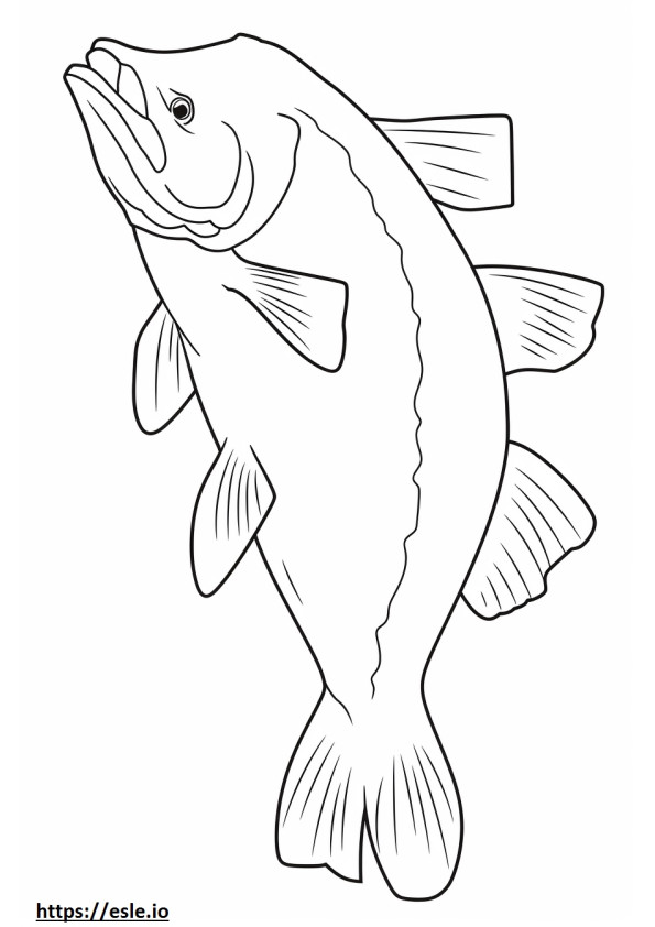 Arctic Char full body coloring page