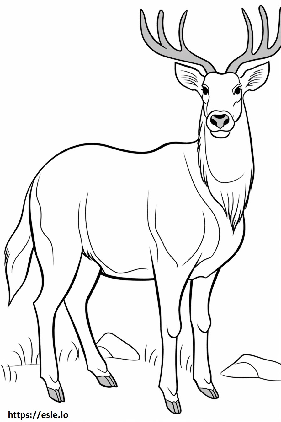 Waterbuck cute coloring page