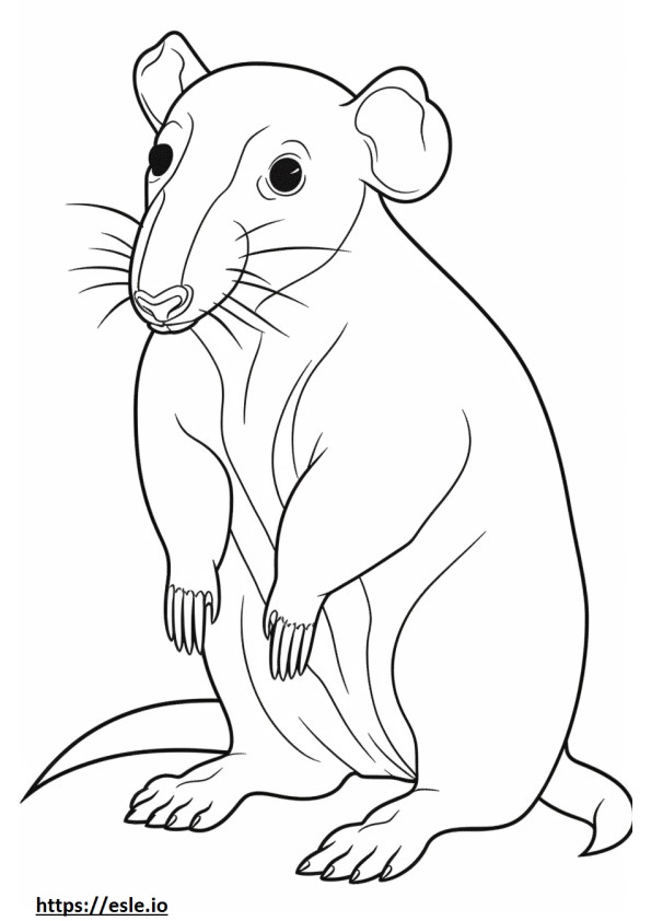 Doxle cute coloring page