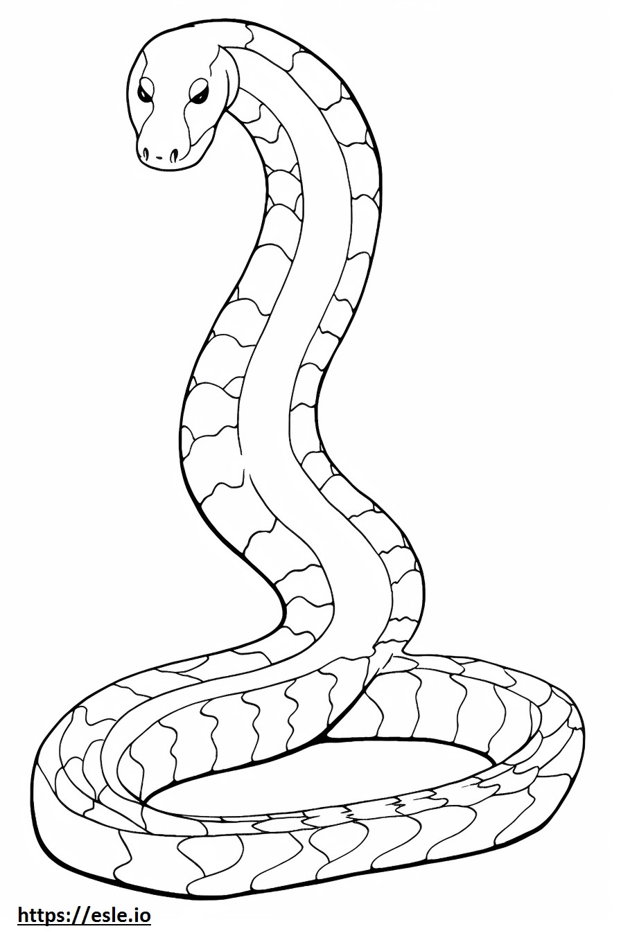 Common European Adder full body coloring page