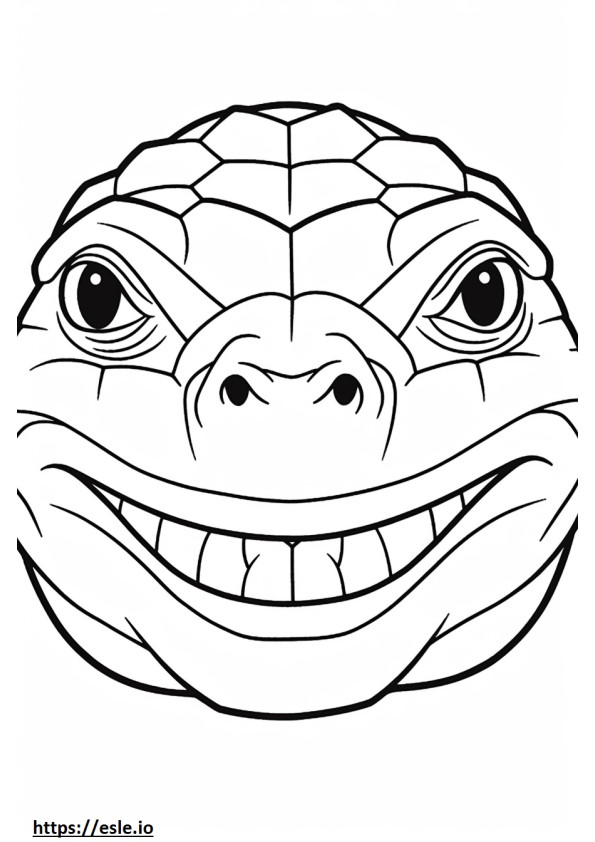 Memotret wajah Turtle gambar mewarnai