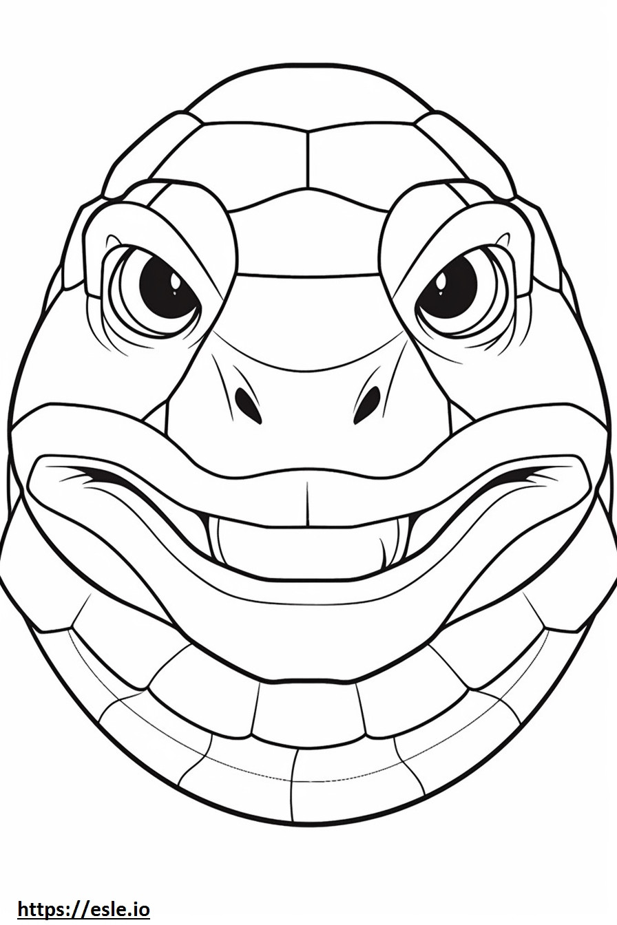 Coloriage Visage de tortue serpentine à imprimer