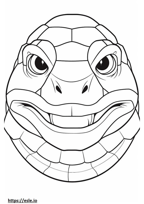 Coloriage Visage de tortue serpentine à imprimer