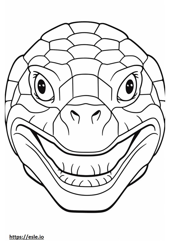 Snapping Turtle face coloring page
