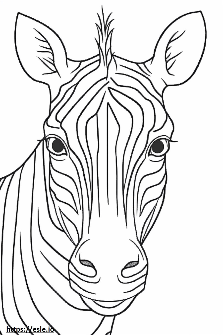 Cara de passarinho zebra para colorir