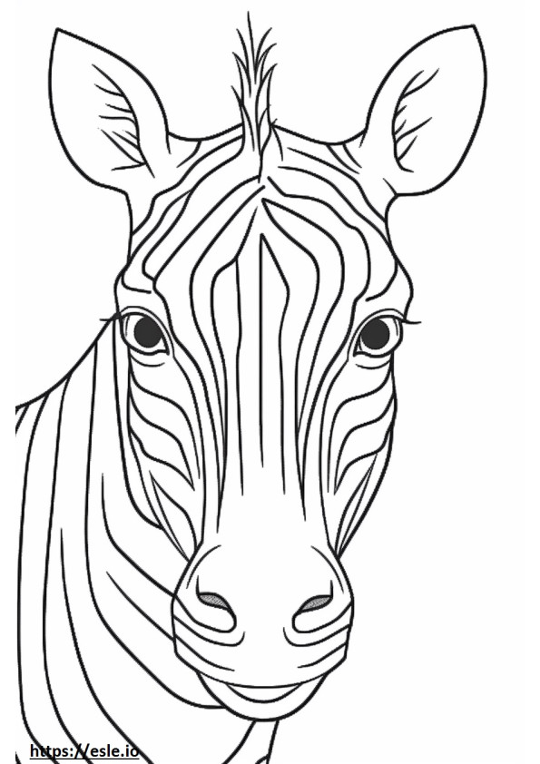 Zebra İspinozu yüzü boyama