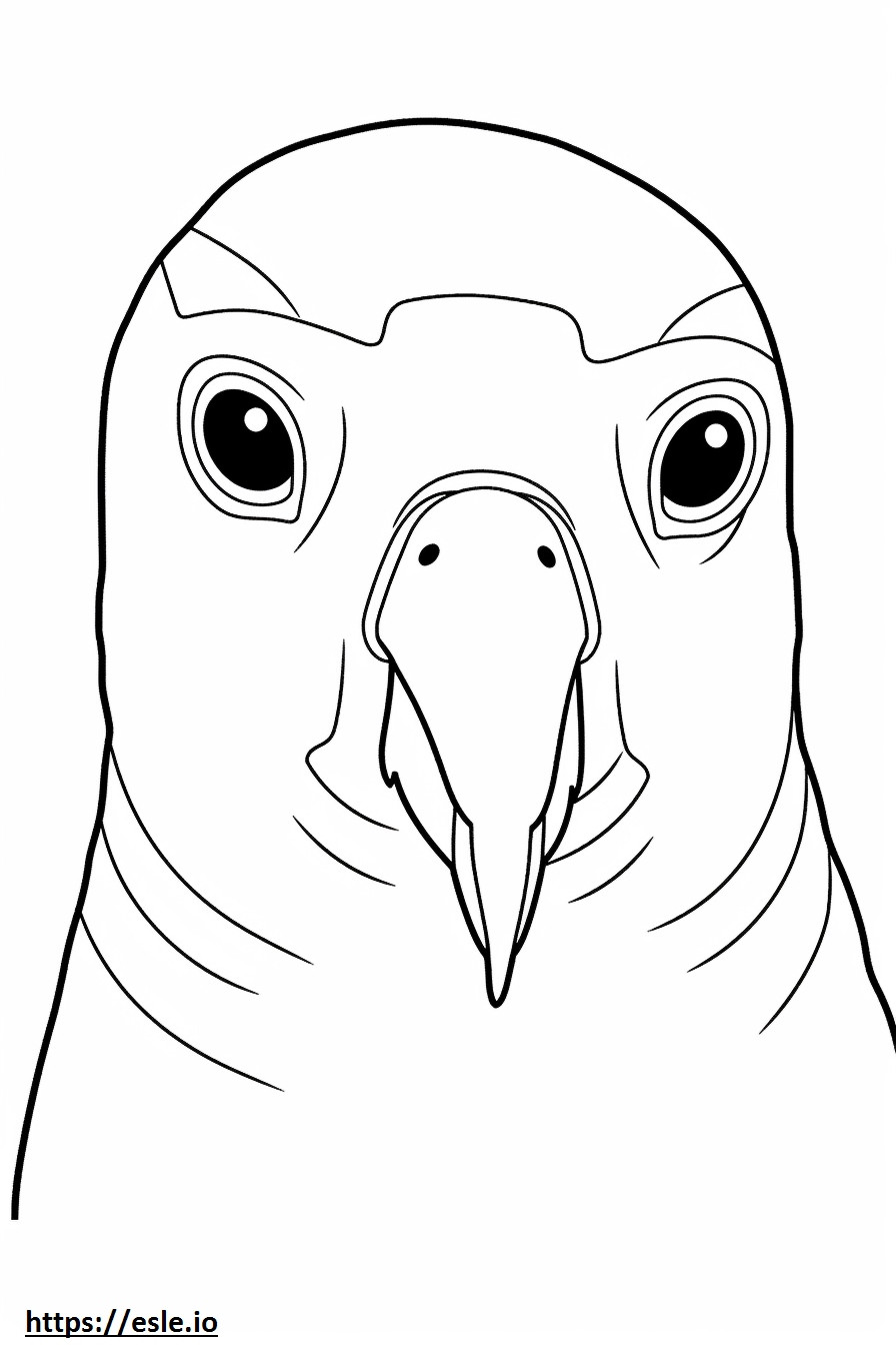 Zebra Finch face coloring page