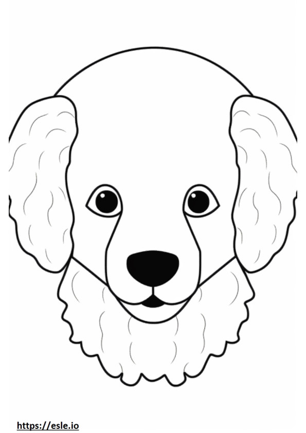 Toy Poodle face coloring page