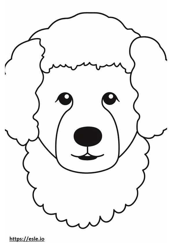 Toy Poodle face coloring page