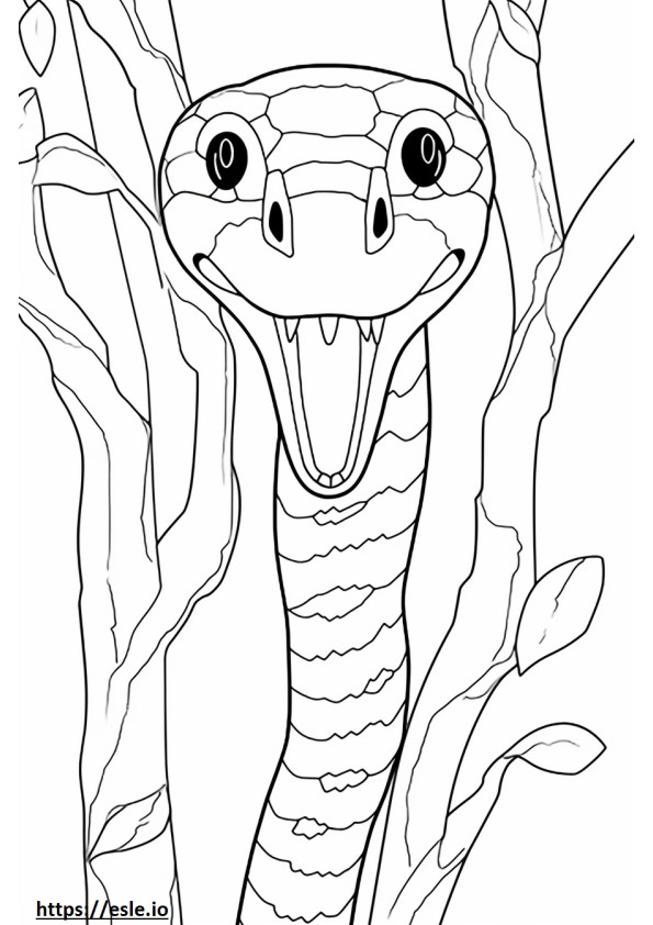 Madagascar Tree Boa face coloring page