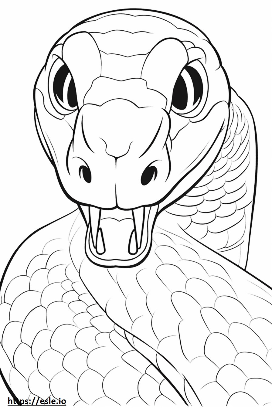 ホグノーズヘビの顔 ぬりえ - 塗り絵