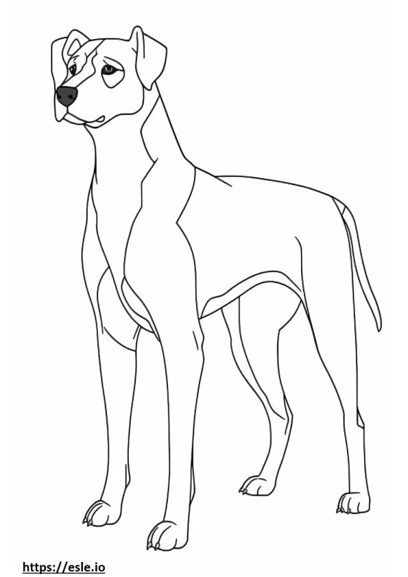 Entlebucher Mountain Dog de corpo inteiro para colorir