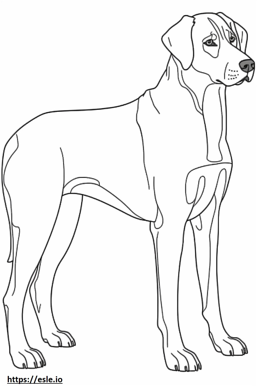 Entlebucher Mountain Dog full body coloring page