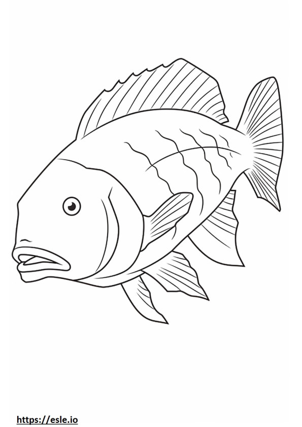 Barramundi Fisch Kawaii ausmalbild