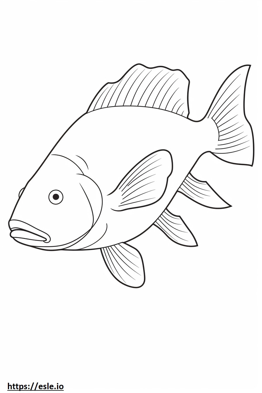Pesce Barramundi Kawaii da colorare