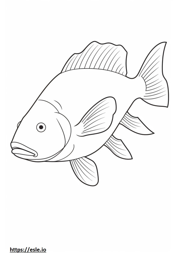 Barramundi Fish Kawaii szinező