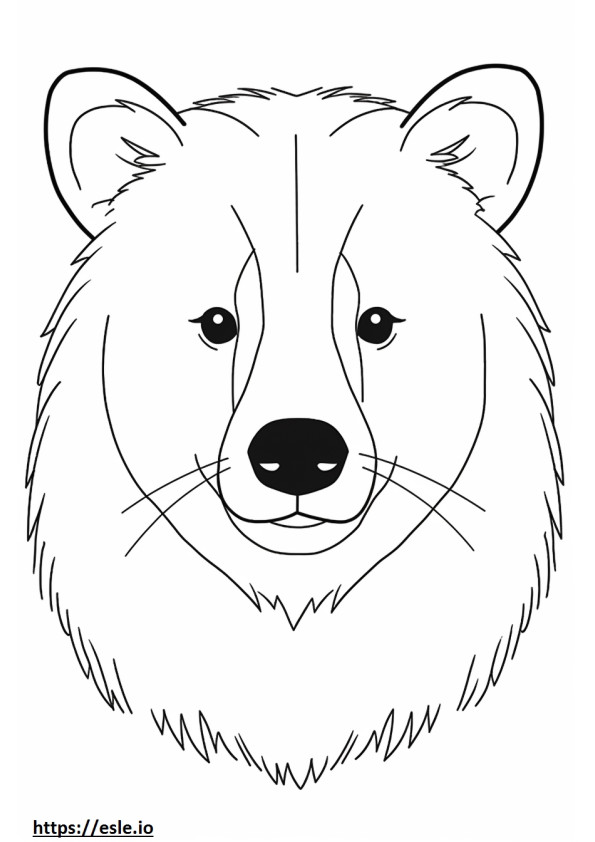 Raccoon Dog face coloring page