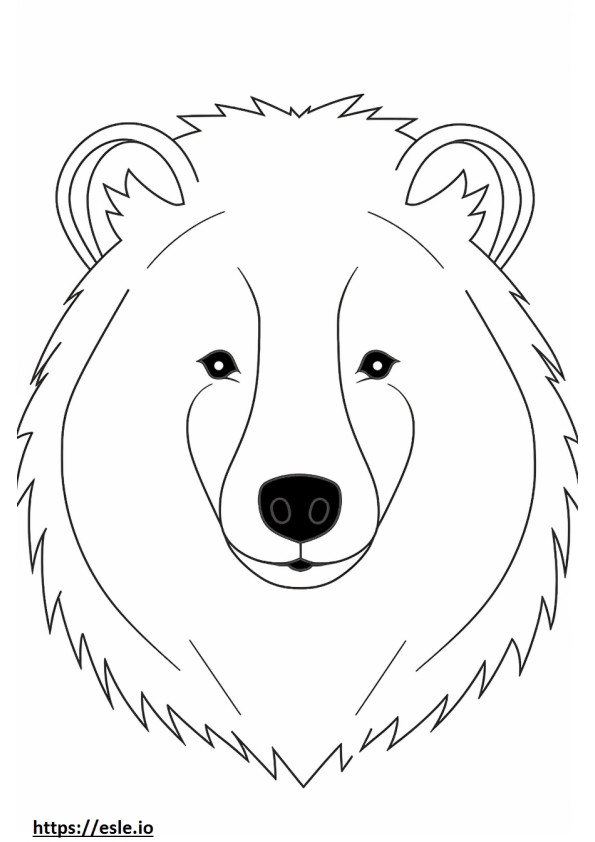 Cara de perro mapache para colorear e imprimir