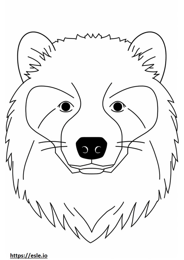 Raccoon Dog face coloring page